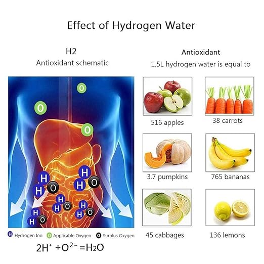 Hydrogen Water Bottle